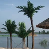 Quality reliable price cheap leaf number optional outdoor beach decoration artificial coconut tree height can be customized