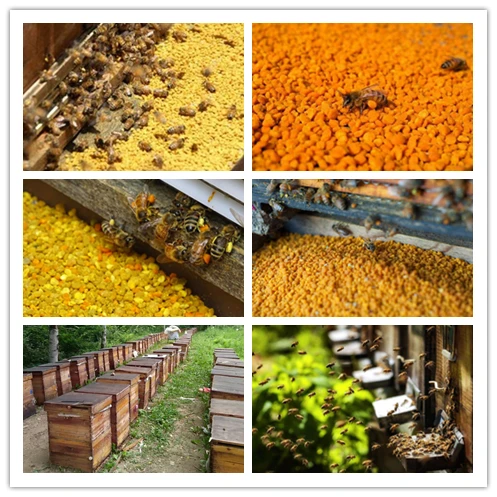 Pure Rape Flower Pollen Powder Multi Wildflower Bee Pollen Granules 7