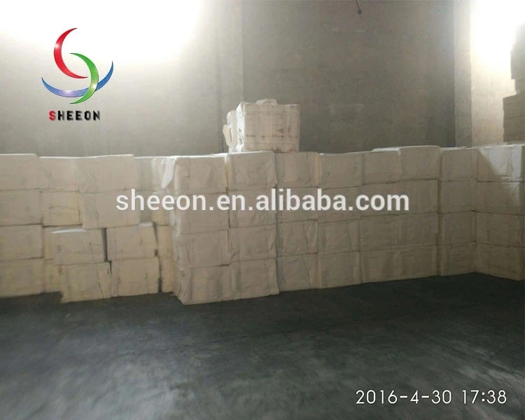 bagasse pulp (2).jpg