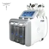 DFBEAUTY Multi-Function Hydrogen Oxygen Small Bubble Beauty Device with Radio Frequency