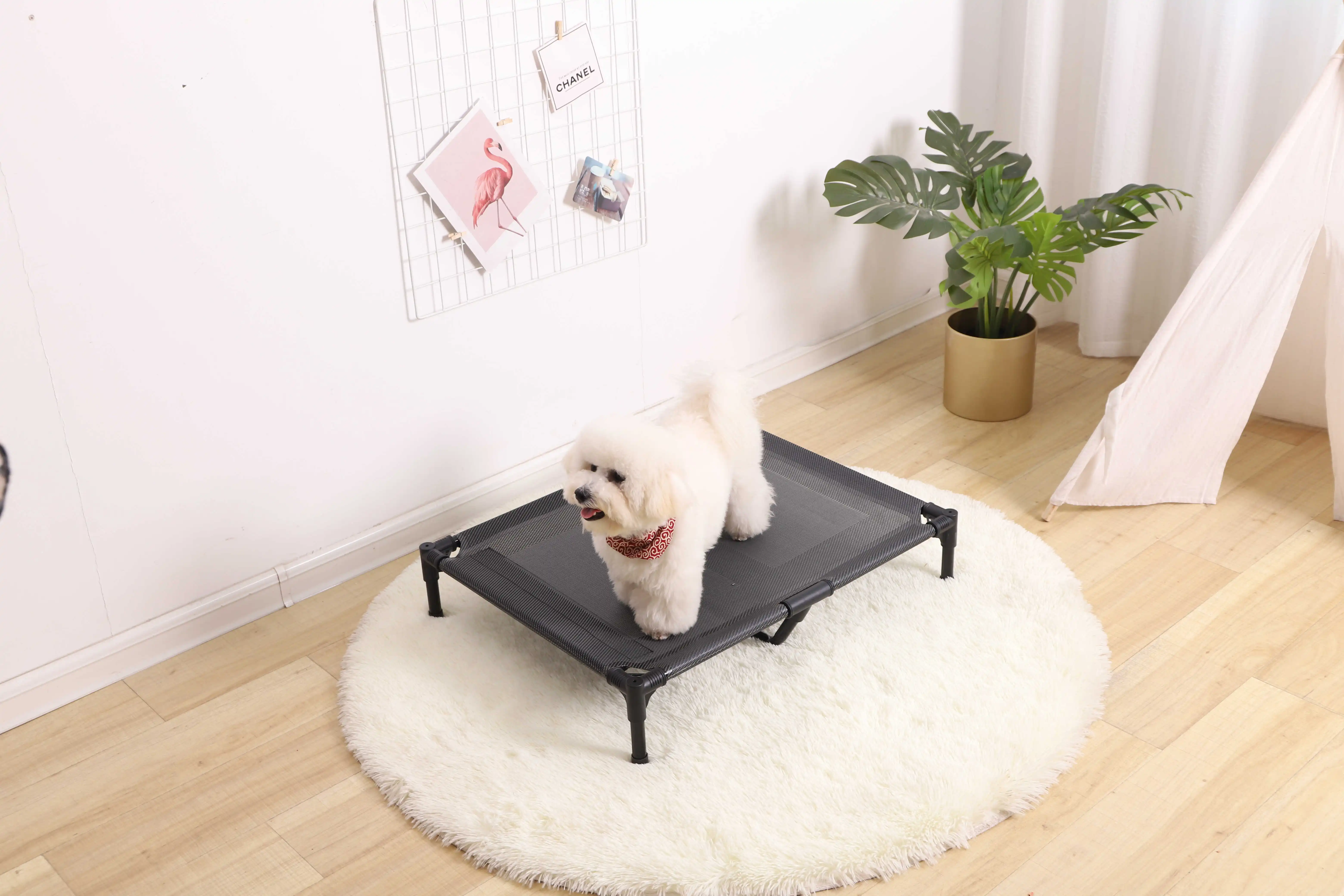 dog elevated bed