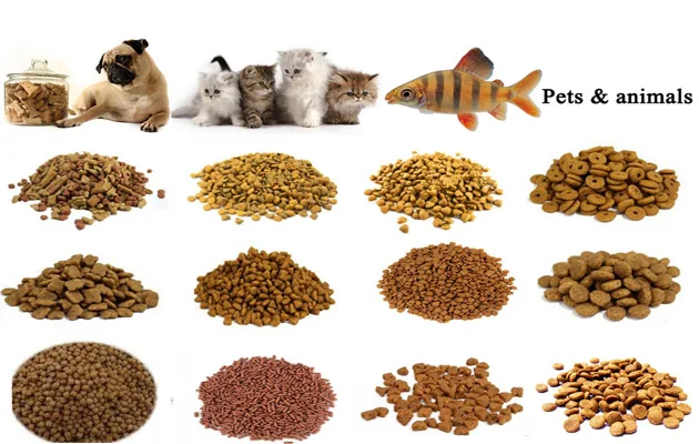 dog food 9.jpg