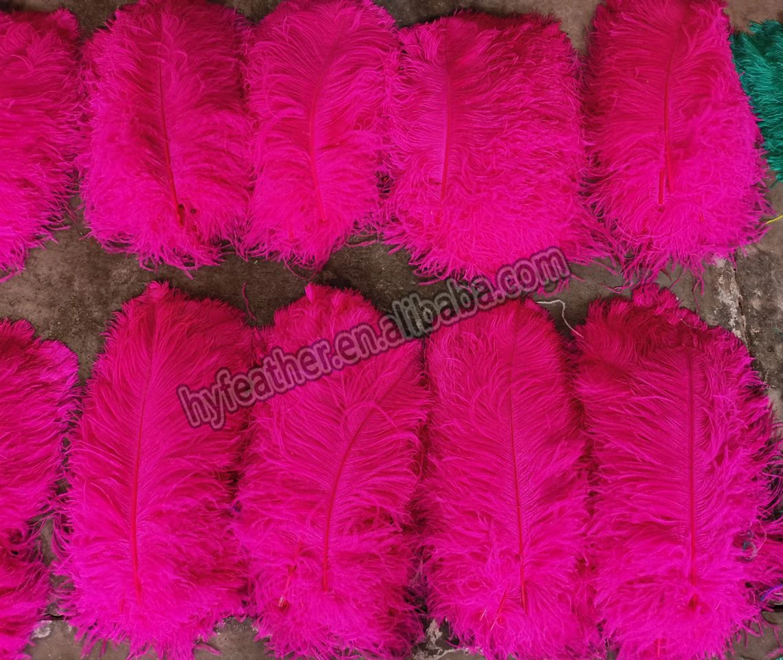 Wholesale Feather Crafts Supplier High Quality Male Dye Ostrich