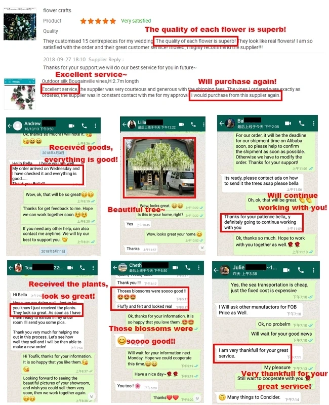 Customers feedback.webp.jpg