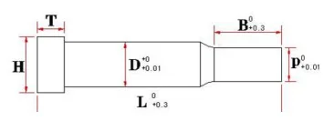Guandong professional factory offer the customized Die Punches for Diemaking punch dies with supplied drawing or sample
