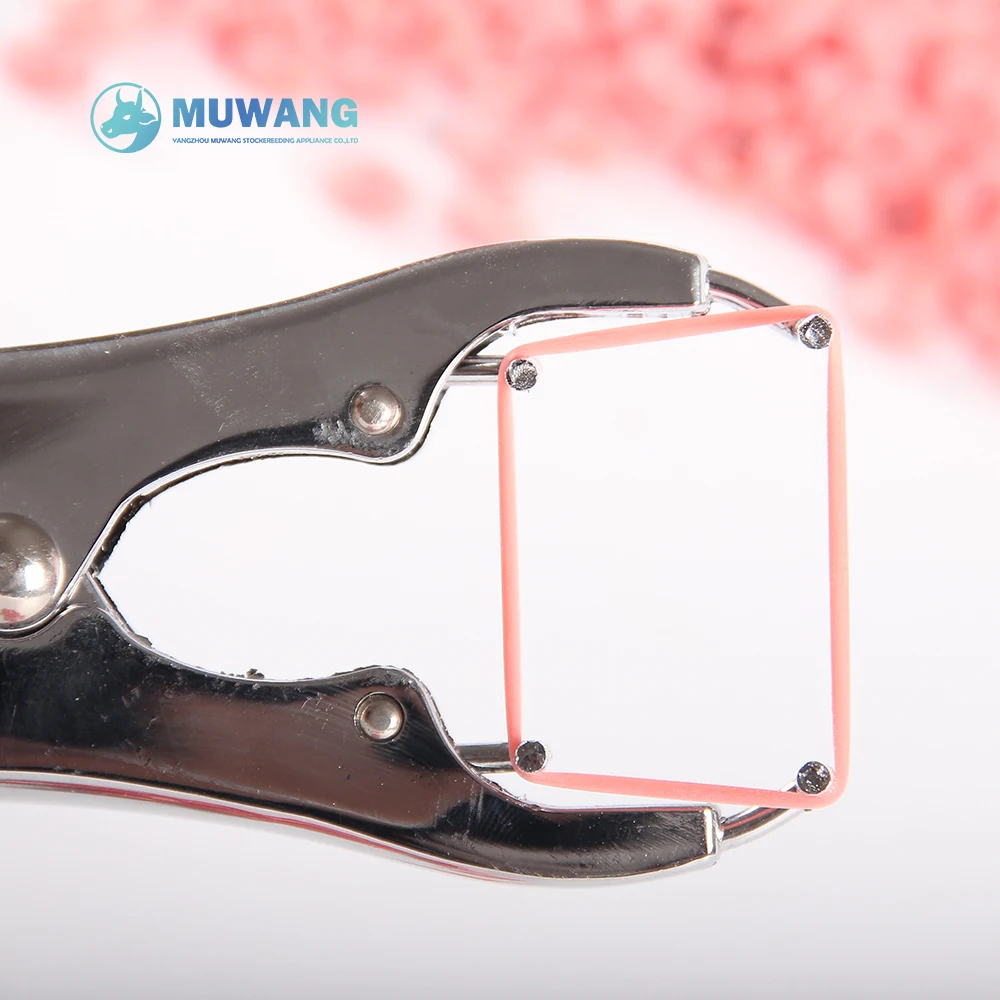 Castration Ring Elastic Band Castration Ring Rubber For Livestock Buy