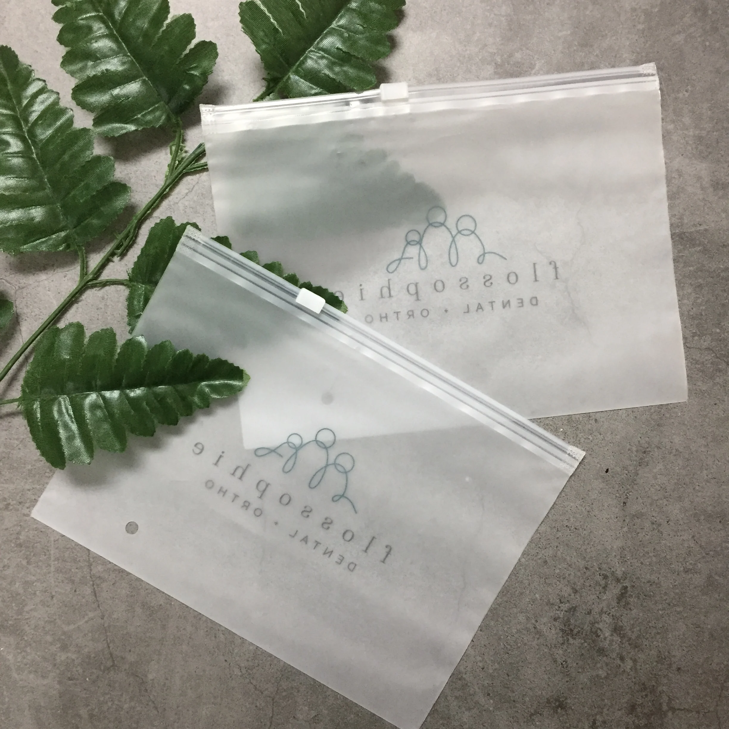 Biodegradable Popular Custom Clear Zip Lock Plastic