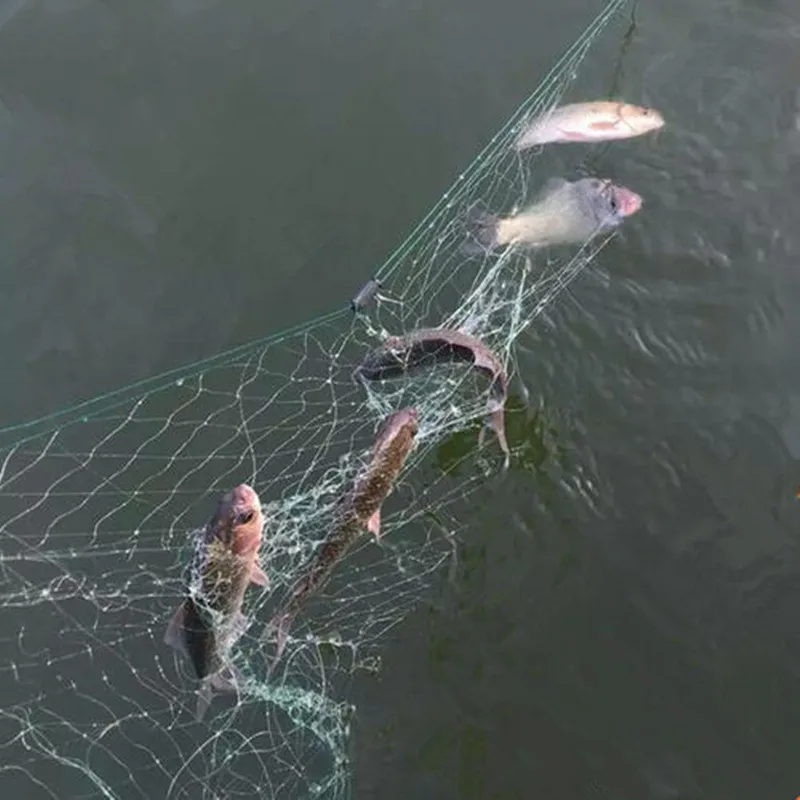 Factory Price Free Samples Nylon Gill Fishing Net Drift Gill Net Buy