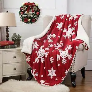 Wholesale Discount Christmas Gift Eco-Friendly Soft Throw Raschel Blankets For Home details