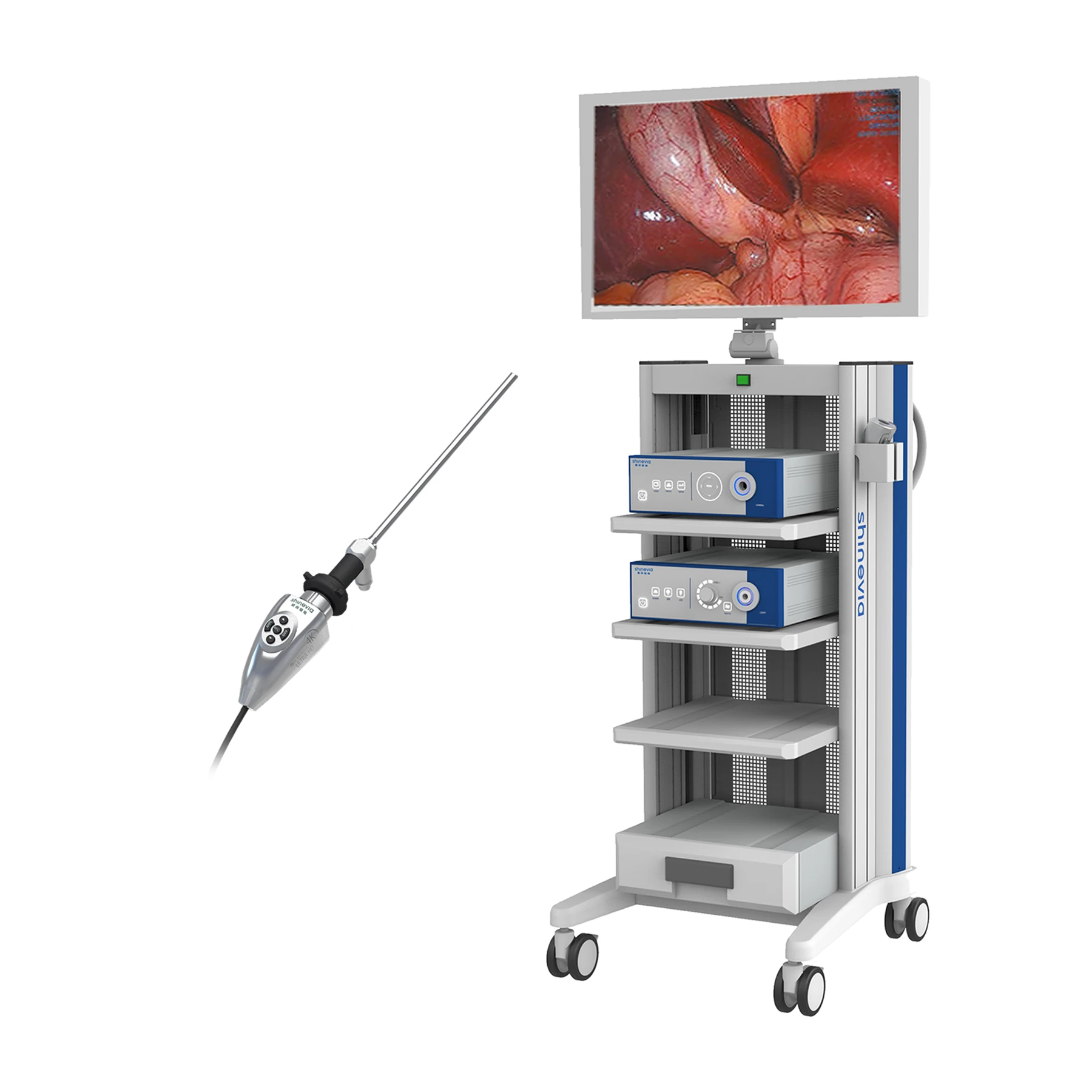 Shinevia 4k Endoscopic Surgery Instruments Endoscope Camera System Argos Cam4000b Buy 4k