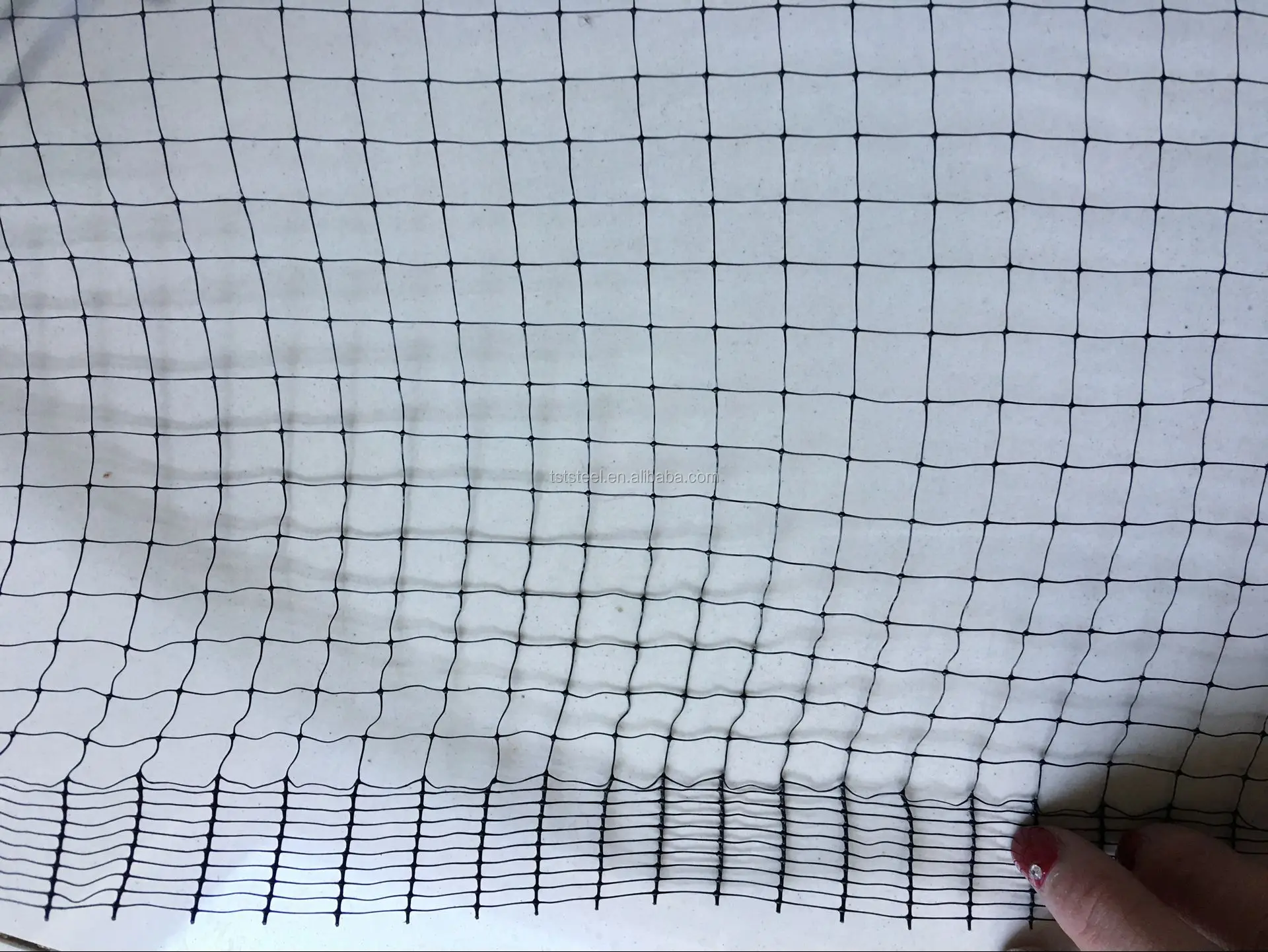 Agricultural Antibird Net / Invisible Anti Bird Net / Garden Vineyard