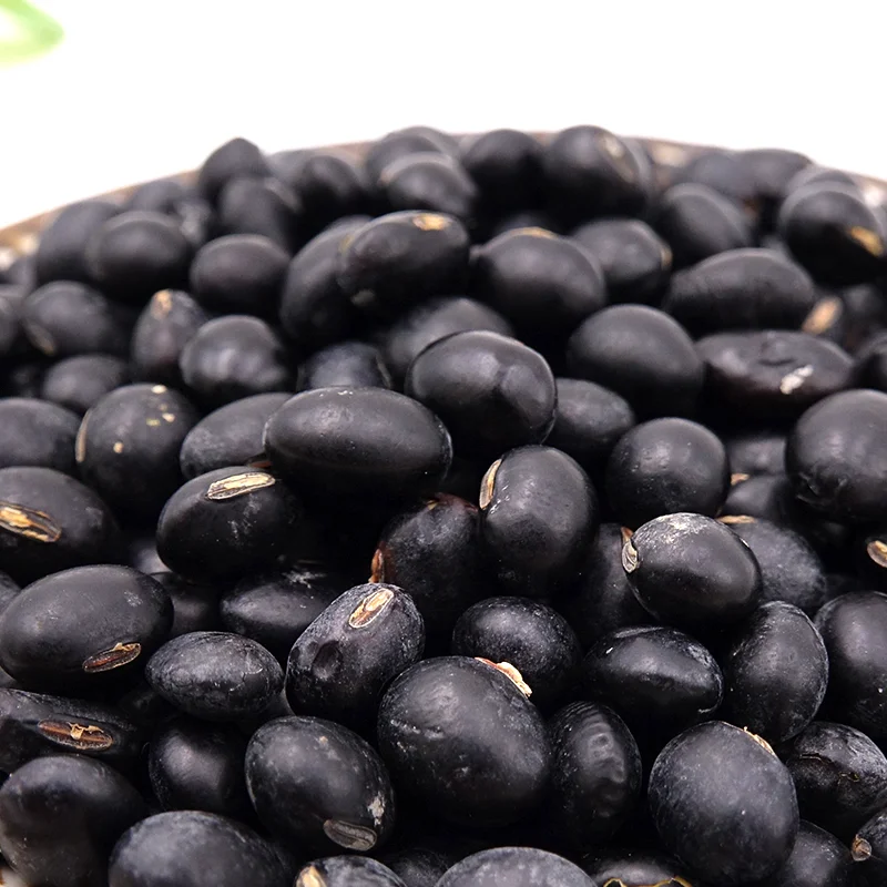 Black Beans Soya Bean / Soybean Seeds Wholesale Chinese Newest Crop from CN;HEB Bulk Packaging 25 Kg 25/50 KG PP Bag Dried Top