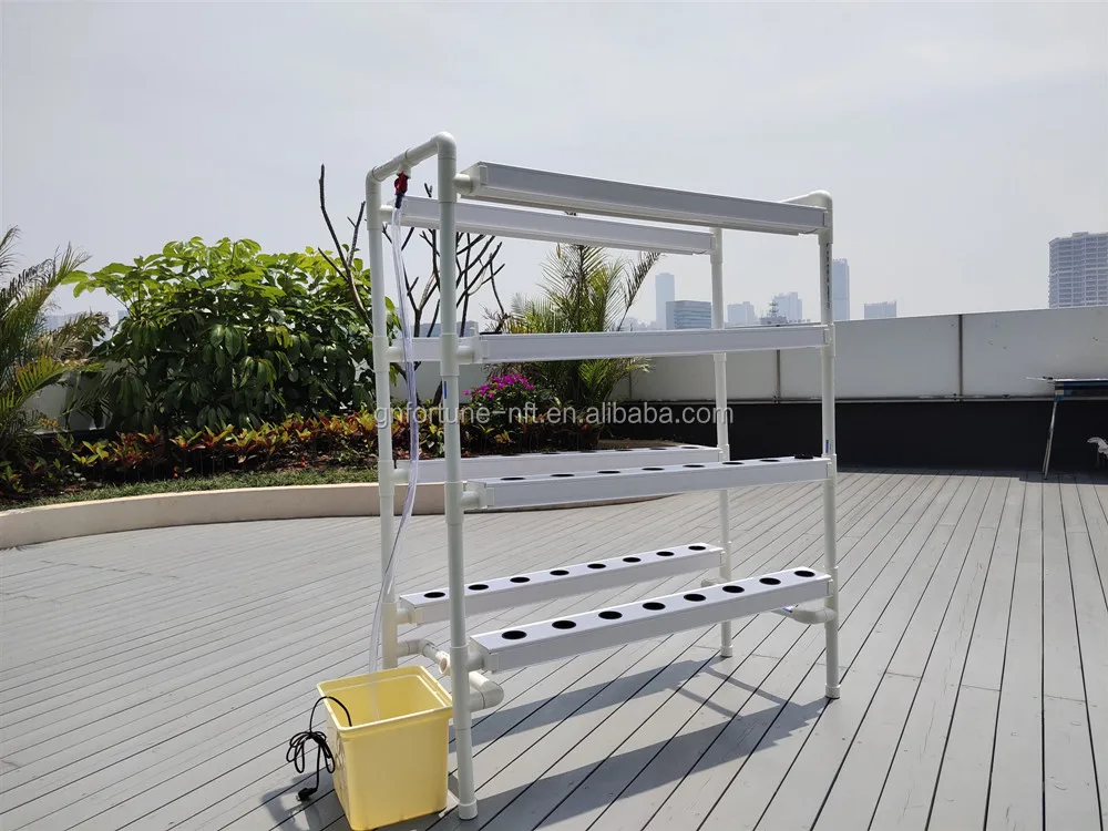 hydroponics growing system