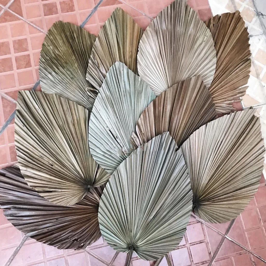 Factory Wholesale High Quality Multicolored Real Natural Dried Palm