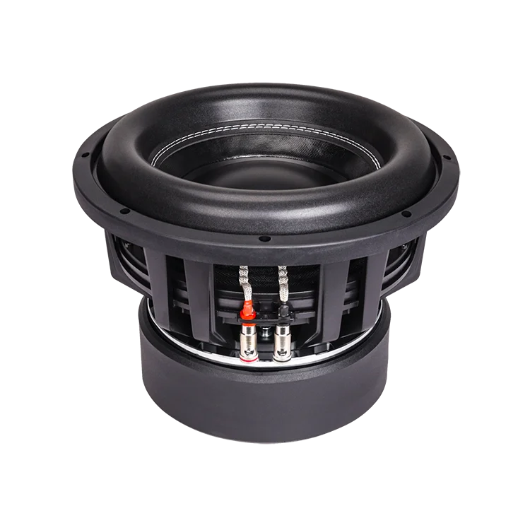 Direct Manufacturer New Style Pro 1500w Car Audio 12v 10 Inch Car