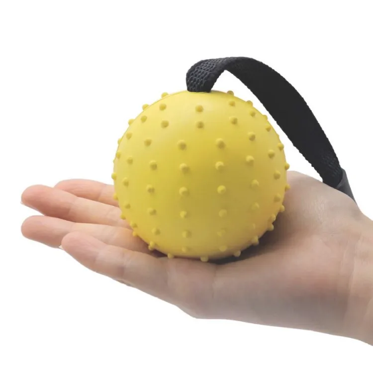 ball on a string dog toy