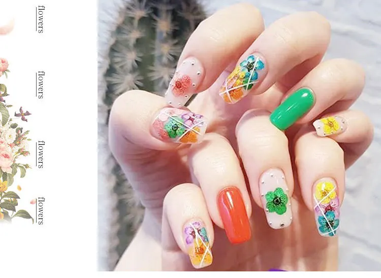 qt0188 dry flower (2)