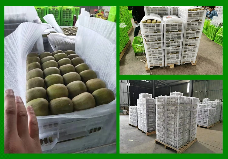 red kiwi 10kg packaging