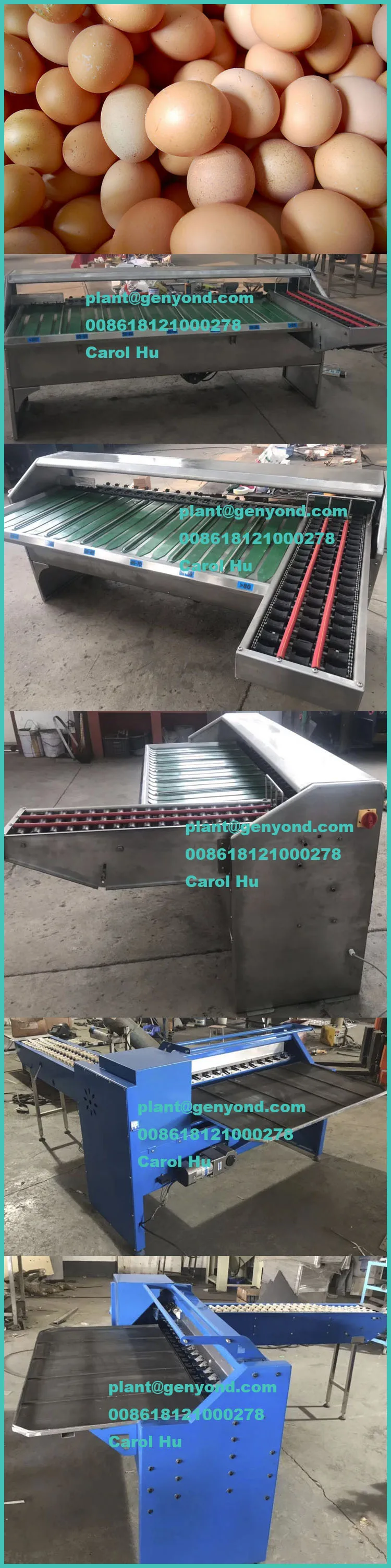 egg grading machine used