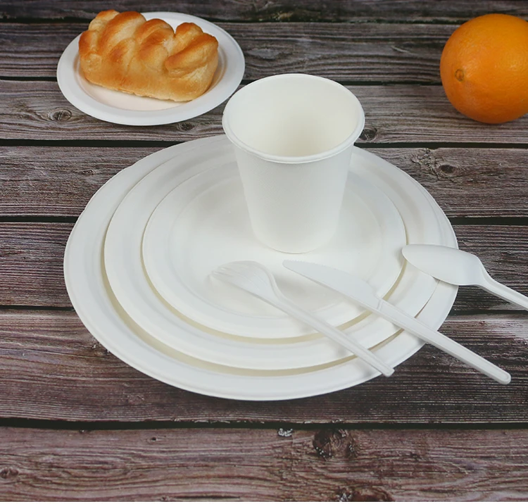 可堆肥餐具圣诞节酒店餐盘套装一次性餐具100% 可生物降解餐具