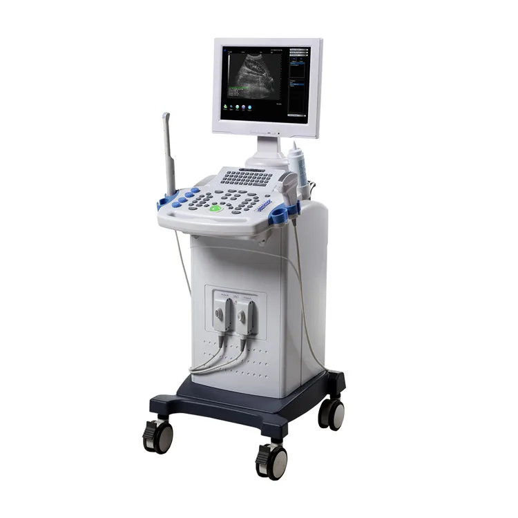 
Diagnostic ultrasound system for hospital Full digital portable with comfortable price 