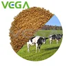 VEGA Feed grade Lysine / MSG byproduct / Rice / Soy Protein