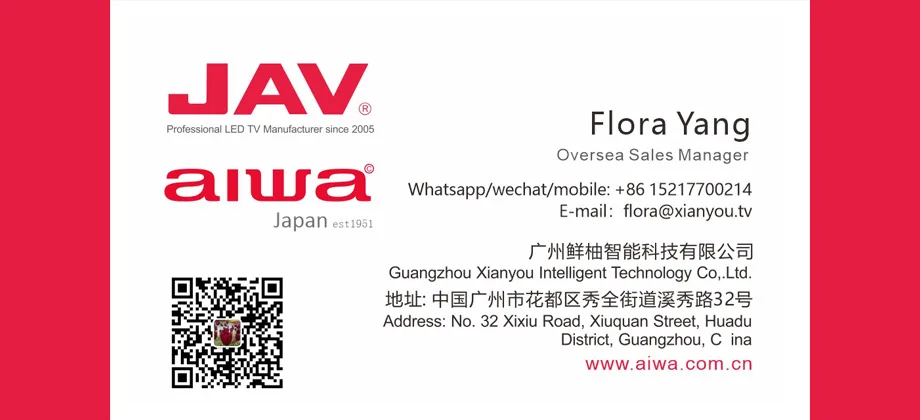 AIWA 