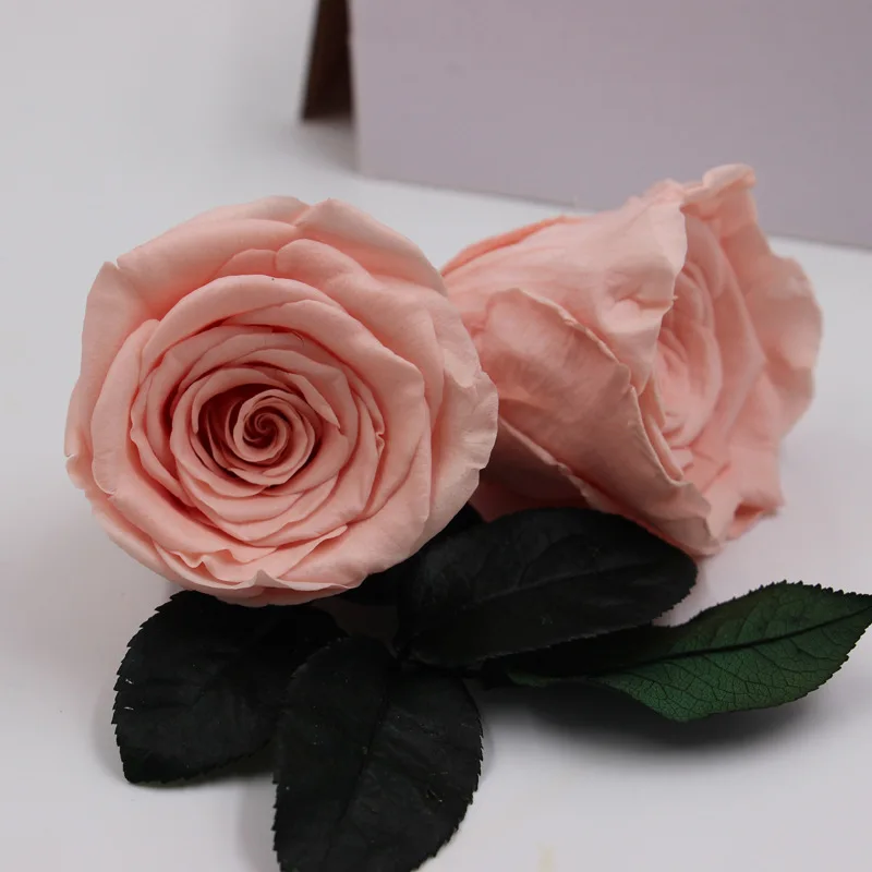 Wholesale Real Preserved Rose Head With Fresh Rose Smell Everlasting