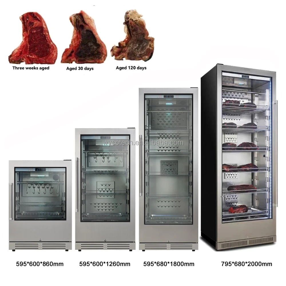 Ager and Thawing Refrigerator, Electric - detail 12