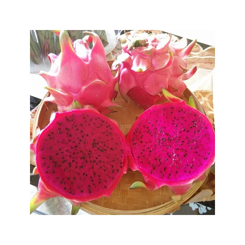 
Pure Natural Fresh Tropical Fruits Fresh Red Dragon Fruit For Sale 