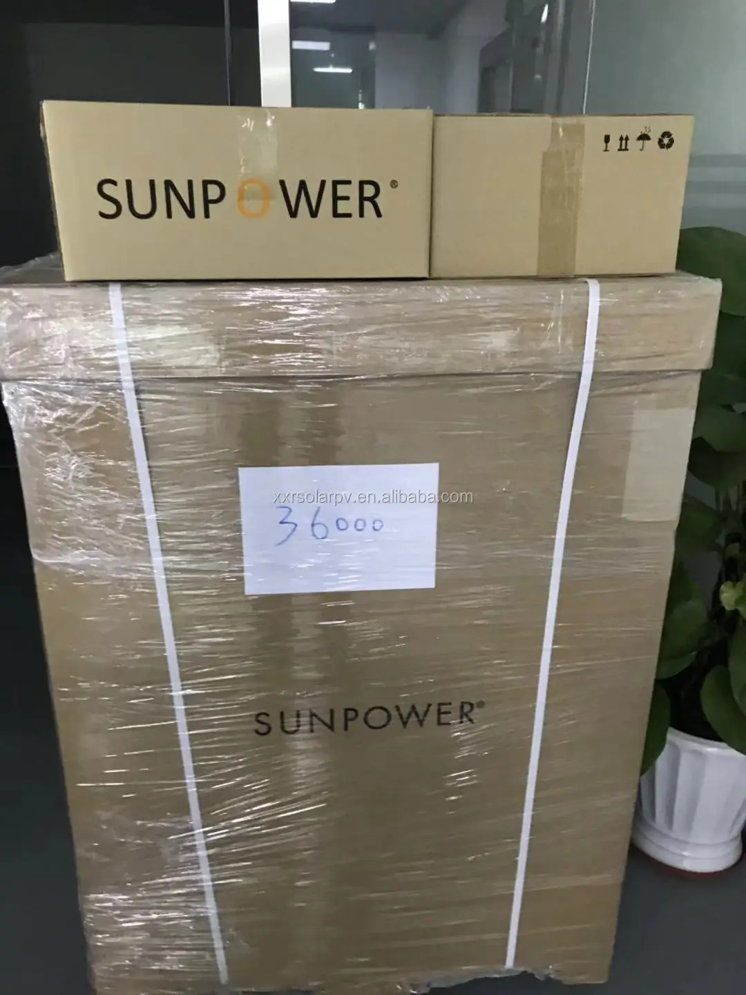 sunpower 1.jpg