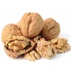 walnuts,Betel Nuts,Cashew Nuts,Almond