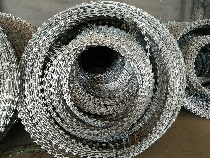 500mm Coil Diameter Concertina Razor Barbed Wire Buy Concertina Wire