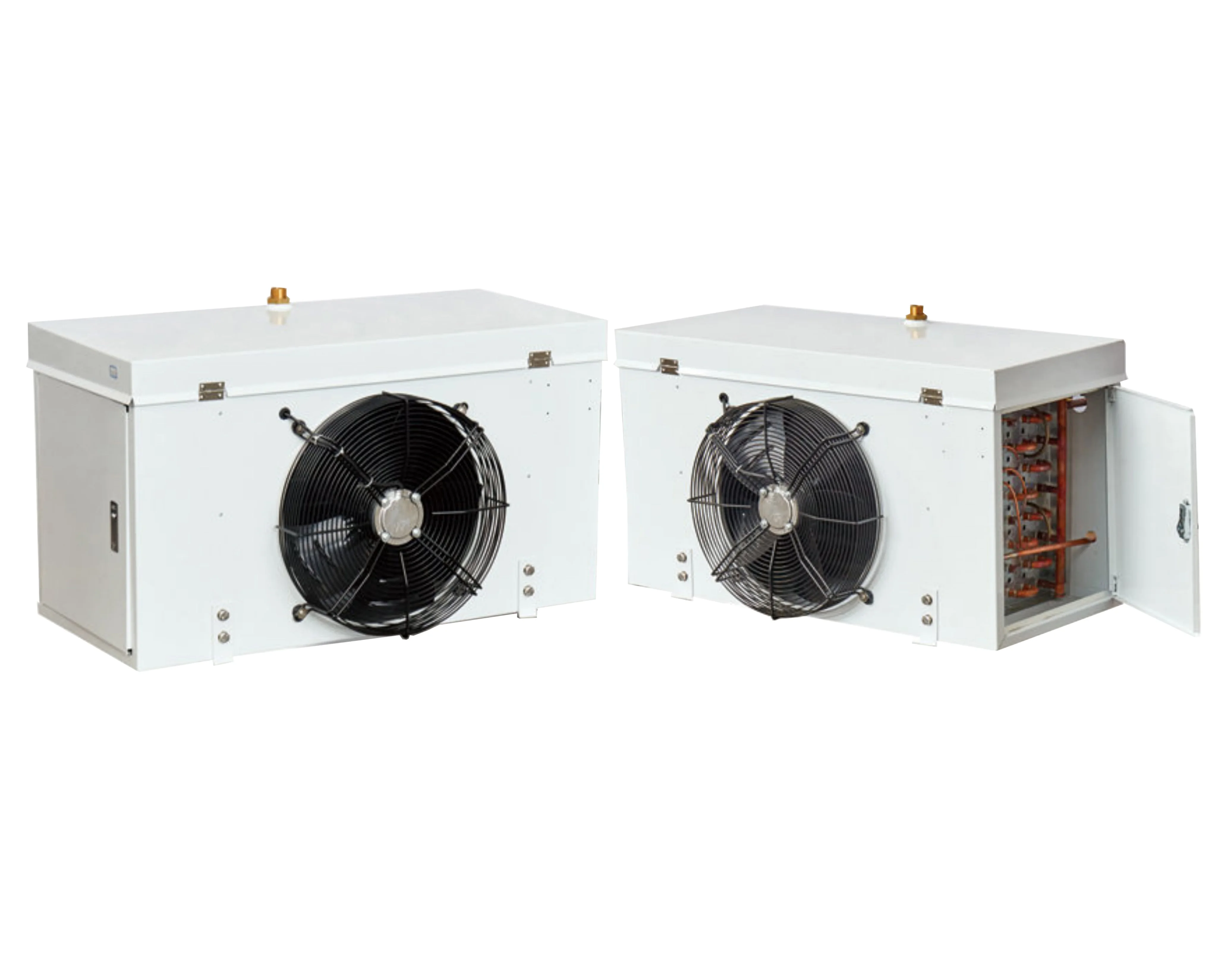 Blast Freezer, 1 Year - detail 6