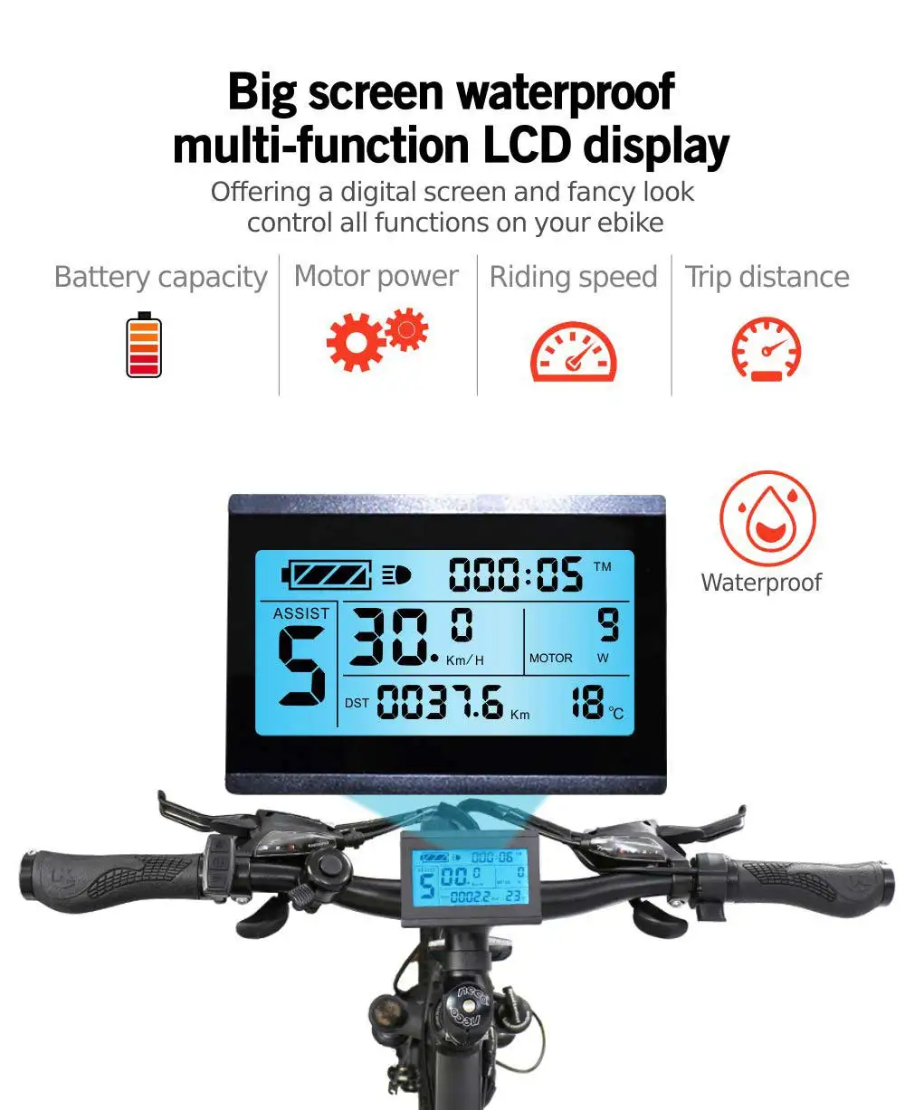 electric bicycle ebike