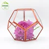Cheap wholesale mini plant glass geometric terrarium vase wedding // wholesale Indonesia artist plastic terracotta flower pot