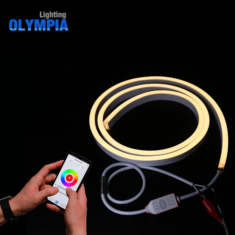 IP68 rated waterproof Bluetooth multi color RGBW flexible led neon strip light