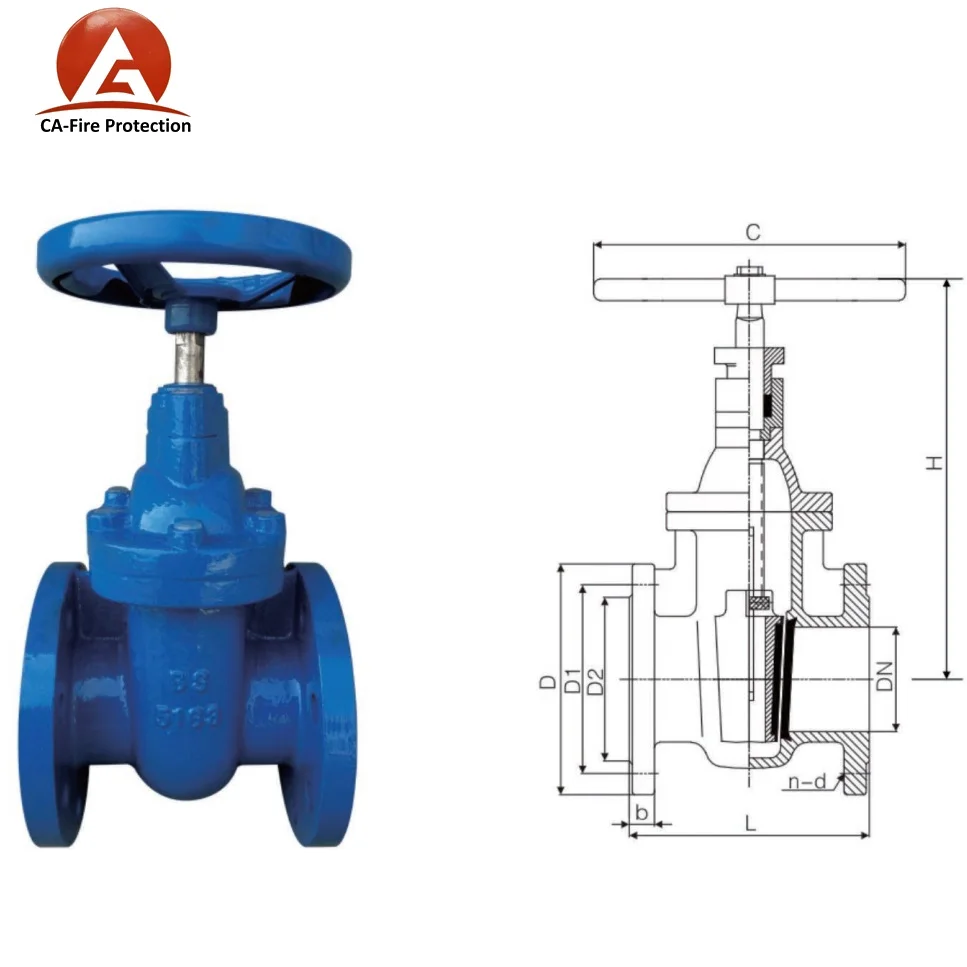 gate valve flanged