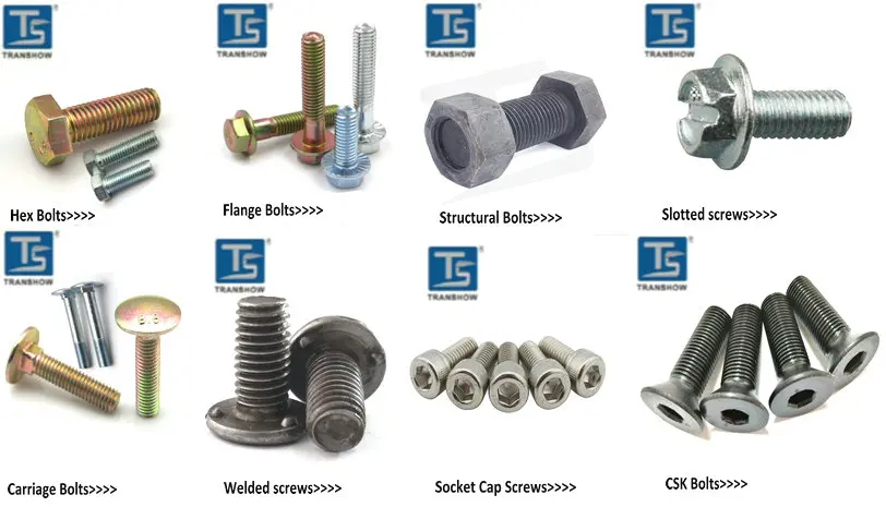 BOLTS.jpg