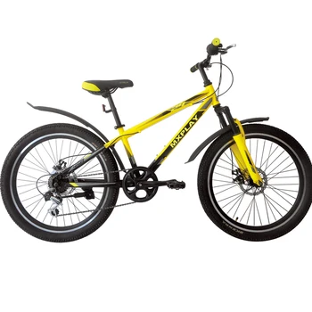 cheap men's mountain bikes