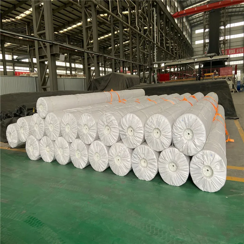 hot sale geomembrane