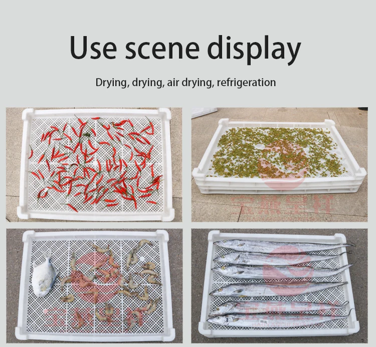 dry frozen tray (10).jpg