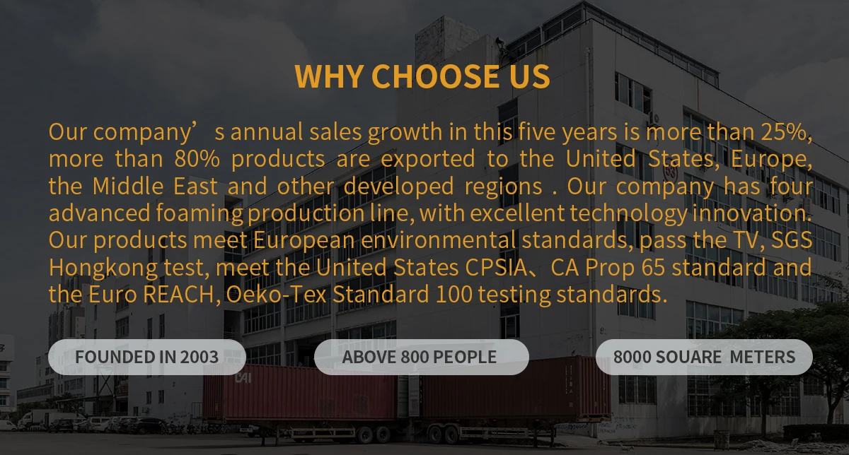 Company Overview Guangdong Yuanhua New Material Industry Co., Ltd.