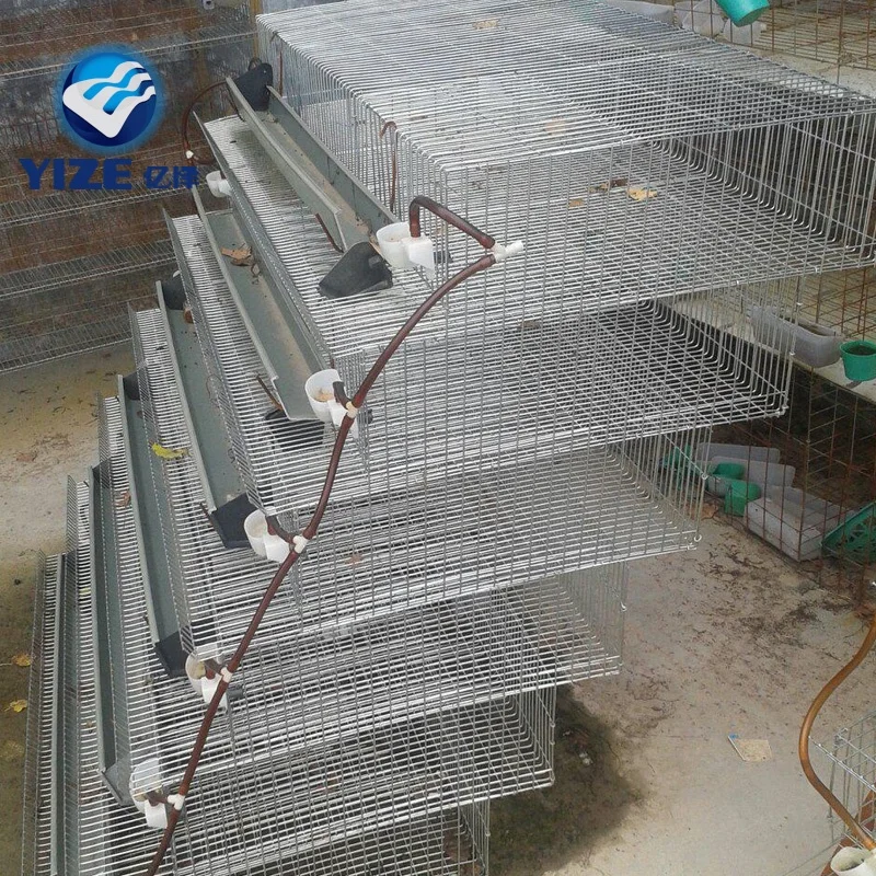 Used Poultry Equipment Quail Battery Cages For Sale China H Type,Welded