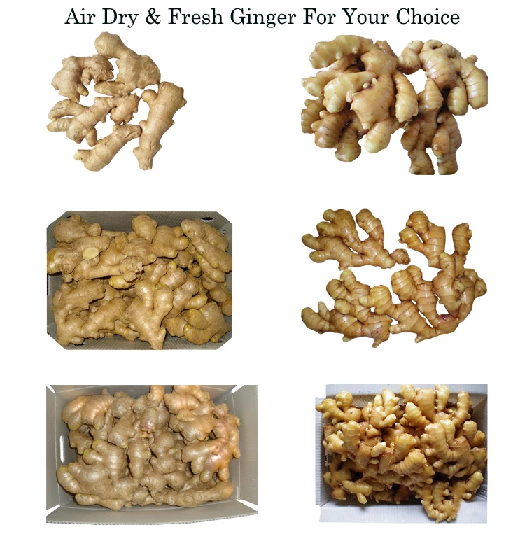 Air Fresh Ginger Series