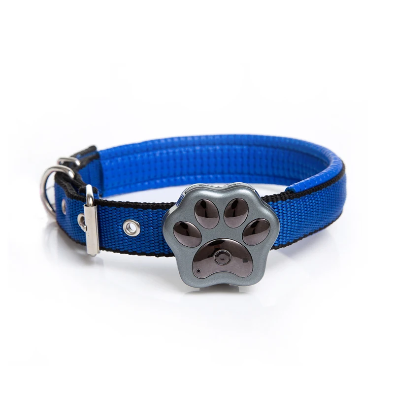 V30-pet tracker _0 (1).jpg