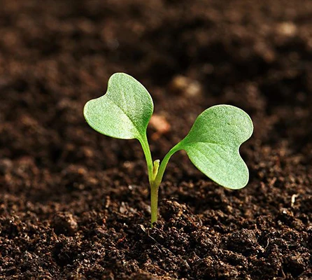 绿源水处理化学品价格七水硫酸亚铁 - buy ferrous sulphate