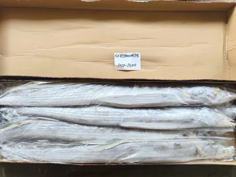 Ribbonfish 5.jpg