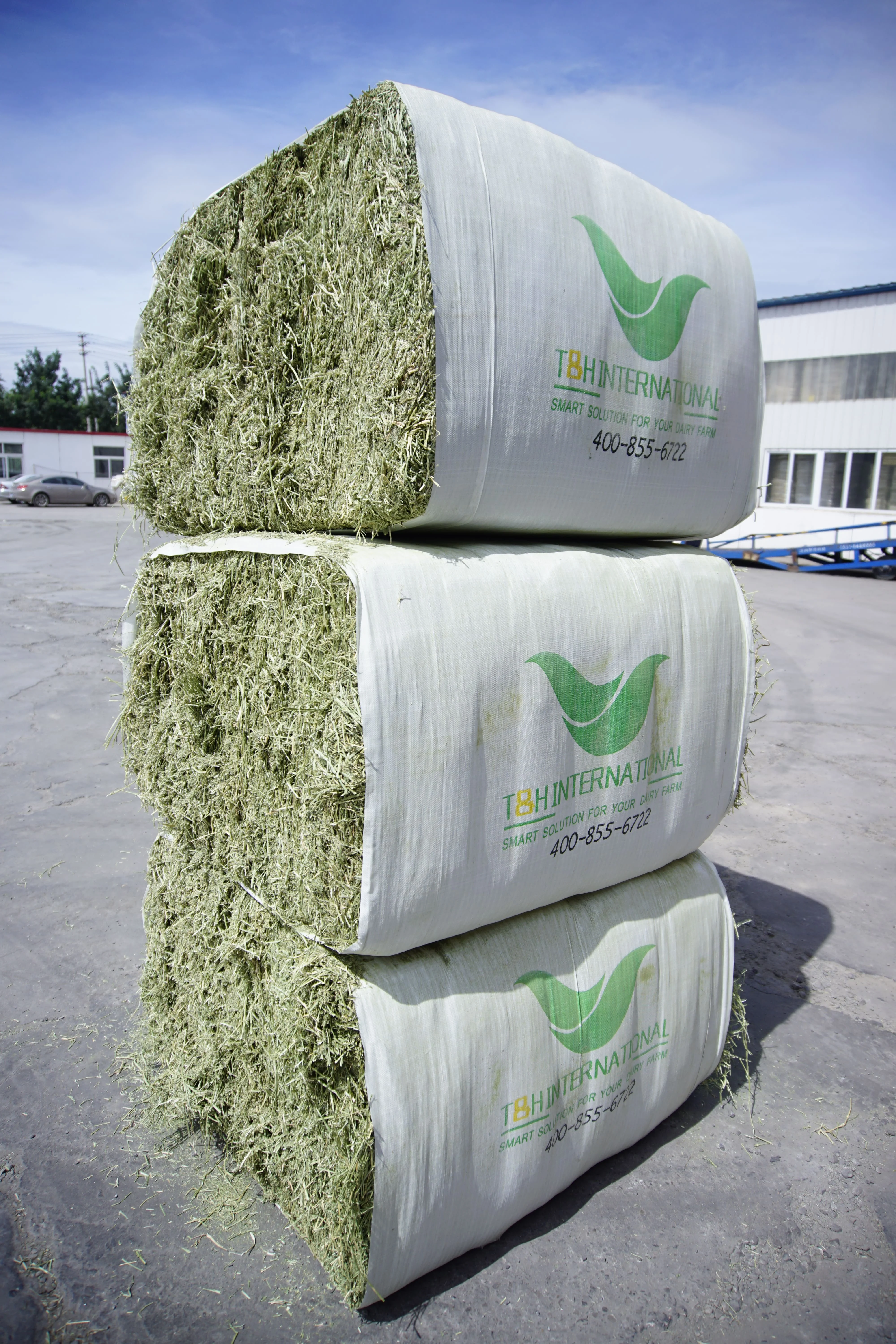 fair alfalfa hay lucerne price for sale