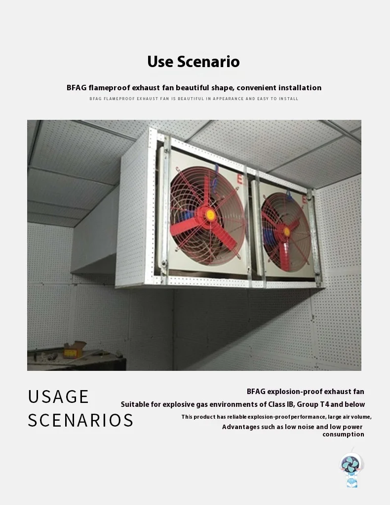 Axial Flow Ventilation Fan, Wall, Flameproof, BFAG - detail 10